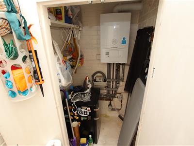 Picture 13